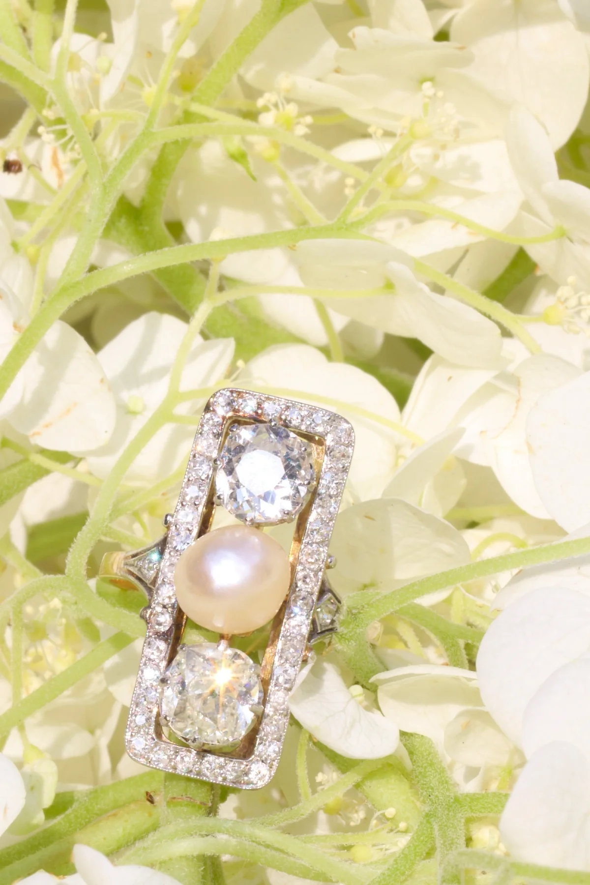 The legacy of love: bridging the gap between decor and romance - Image 3