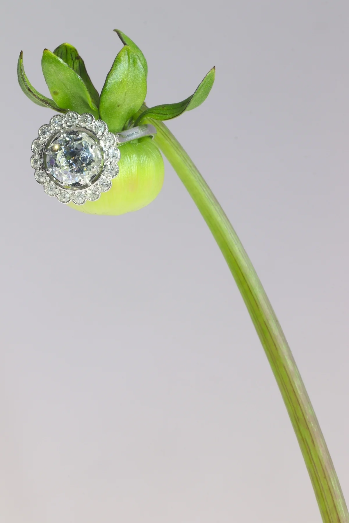 Liens eternal: the decorative diamond ring from the 1920s - Image 4